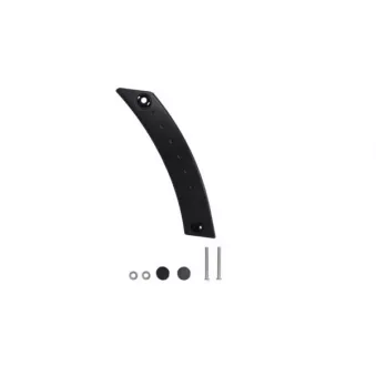 Poignet de porte, équipment intérieur avant droit BLIC 6010-01-039408PK