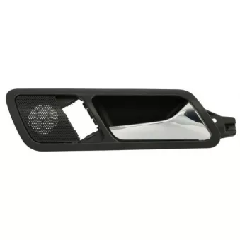Poignet de porte, équipment intérieur avant droit BLIC 6010-01-1583408TP