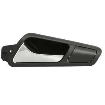 Poignet de porte, équipment intérieur avant gauche BLIC 6010-01-1583409P