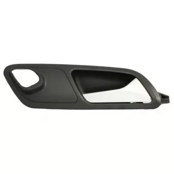Poignet de porte, équipment intérieur BLIC 6010-01-1586408P