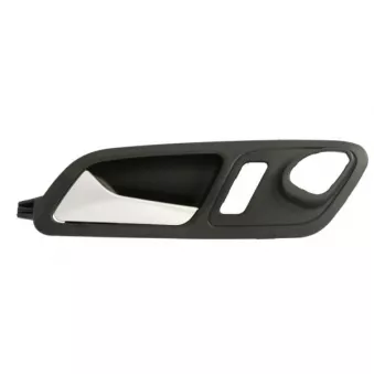 Poignet de porte, équipment intérieur avant gauche BLIC 6010-01-1586409P