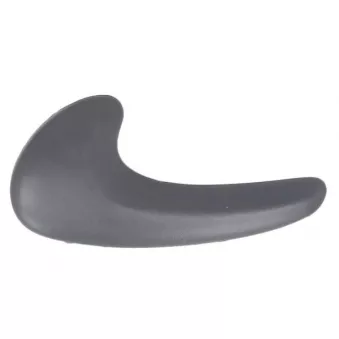 Poignet de porte, équipment intérieur avant gauche BLIC 6010-02-018409PPP