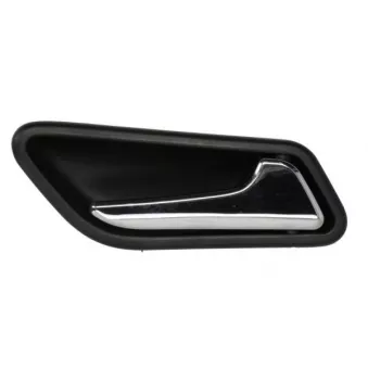 Poignet de porte, équipment intérieur avant droit BLIC 6010-02-041408TP