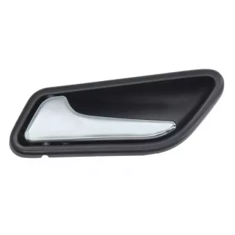 Poignet de porte, équipment intérieur avant gauche BLIC 6010-02-041409TP