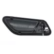 Poignet de porte, équipment intérieur avant gauche BLIC 6010-02-041409TP - Visuel 2