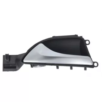 Poignet de porte, équipment intérieur avant gauche BLIC 6010-02-068409P