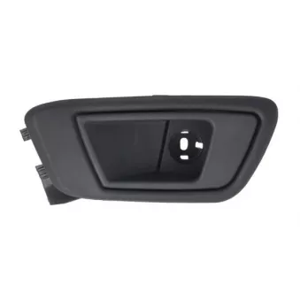 Poignet de porte, équipment intérieur avant gauche BLIC 6010-03-0378409P