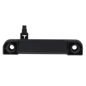 Poignet de porte, équipment intérieur avant gauche BLIC 6010-03-0429410LWP