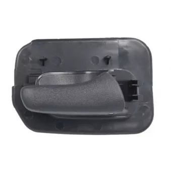 Poignet de porte, équipment intérieur arrière droit BLIC 6010-04-004408TP