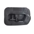 Poignet de porte, équipment intérieur arrière droit BLIC 6010-04-004408TP - Visuel 2