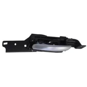 Poignet de porte, équipment intérieur avant gauche BLIC 6010-05-022409P