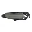 Poignet de porte, équipment intérieur arrière droit BLIC 6010-07-030408TP - Visuel 1