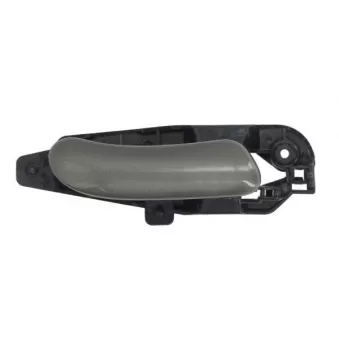 Poignet de porte, équipment intérieur arrière droit BLIC 6010-07-030408TP