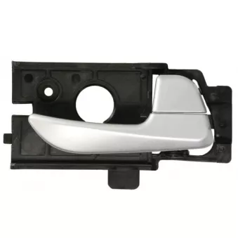Poignet de porte, équipment intérieur avant gauche BLIC 6010-20-0537409TP