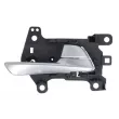 Poignet de porte, équipment intérieur arrière gauche BLIC 6010-20-061409TP - Visuel 1