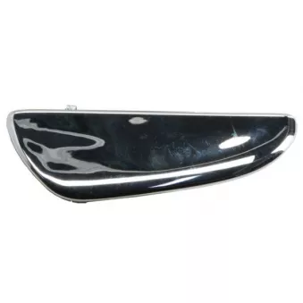 Poignet de porte, équipment intérieur avant droit BLIC 6010-23-012408P