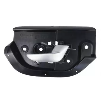 Poignet de porte, équipment intérieur avant droit BLIC 6010-24-016404P