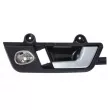 Poignet de porte, équipment intérieur avant droit BLIC 6010-25-031408P - Visuel 1