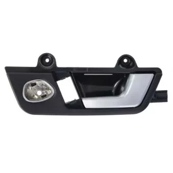 Poignet de porte, équipment intérieur avant droit BLIC 6010-25-031408P