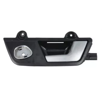 Poignet de porte, équipment intérieur arrière droit BLIC 6010-25-031408TP
