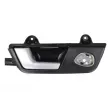 Poignet de porte, équipment intérieur arrière gauche BLIC 6010-25-031409TP - Visuel 1