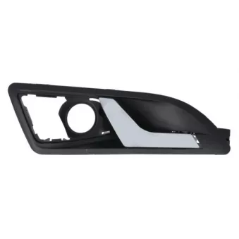 Poignet de porte, équipment intérieur avant droit BLIC 6010-43-010408TPP
