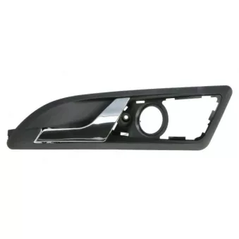 Poignet de porte, équipment intérieur avant gauche BLIC 6010-43-010409PP