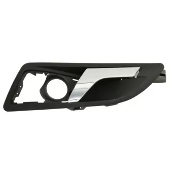 Poignet de porte, équipment intérieur avant gauche BLIC 6010-43-010409TPP