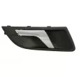 Poignet de porte, équipment intérieur avant droit BLIC 6010-43-1318408TP - Visuel 1