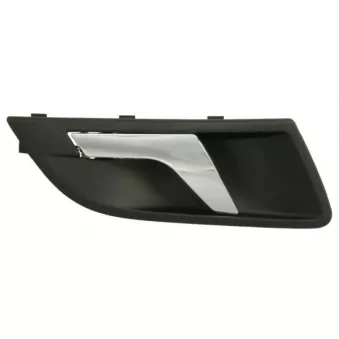 Poignet de porte, équipment intérieur avant droit BLIC 6010-43-1318408TP