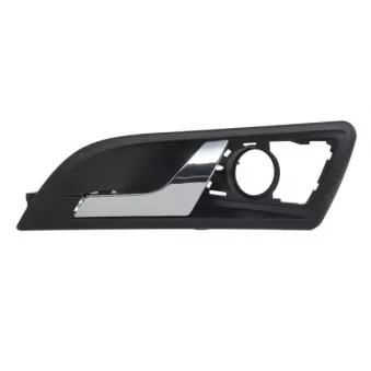 Poignet de porte, équipment intérieur avant gauche BLIC 6010-43-1318409P