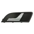 Poignet de porte, équipment intérieur avant gauche BLIC 6010-43-1318409TP - Visuel 1