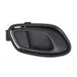 Poignet de porte, équipment intérieur avant droit BLIC 6010-53-043408P - Visuel 1