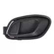 Poignet de porte, équipment intérieur avant gauche BLIC 6010-53-043409P - Visuel 1