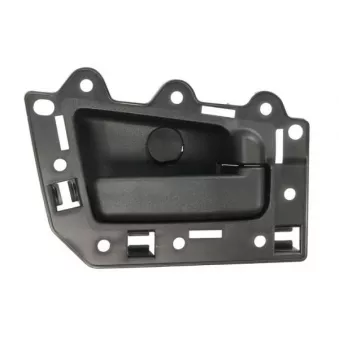 Poignet de porte, équipment intérieur arrière droit BLIC 6010-55-008408TP