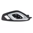 Poignet de porte, équipment intérieur avant gauche BLIC 6010-56-014409P - Visuel 1
