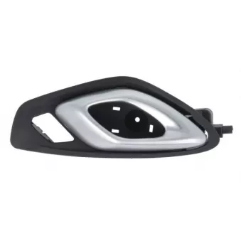 Poignet de porte, équipment intérieur avant gauche BLIC 6010-56-014409P