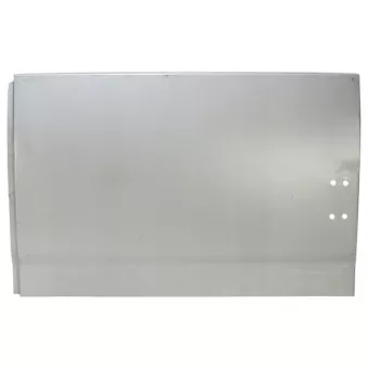 Porte arrière BLIC 6015-00-2092153P