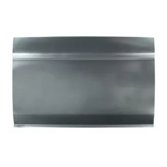 Porte, Carrosserie BLIC 6015-00-9568152K
