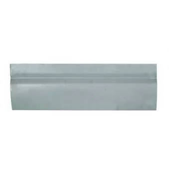 Porte, Carrosserie BLIC 6015-00-9568710P
