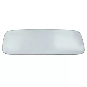 Verre de rétroviseur, rétroviseur extérieur BLIC 6102-01-039365P