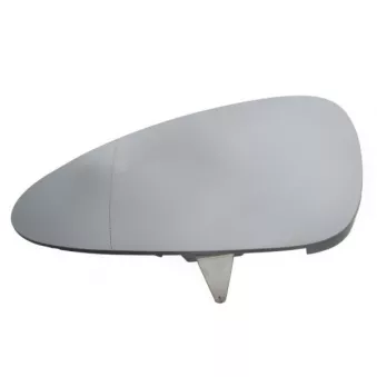 Verre de rétroviseur, rétroviseur extérieur BLIC 6102-01-1184361P