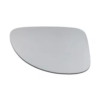 Verre de rétroviseur, rétroviseur extérieur BLIC 6102-02-1231317P