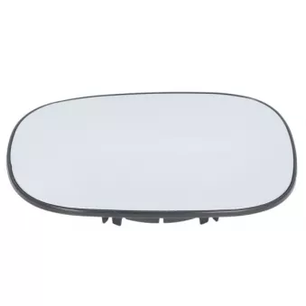 Verre de rétroviseur, rétroviseur extérieur BLIC