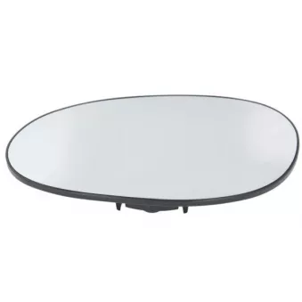 Verre de rétroviseur, rétroviseur extérieur BLIC 6102-02-1231919P