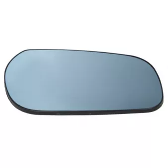 Verre de rétroviseur, rétroviseur extérieur BLIC 6102-02-1232313P