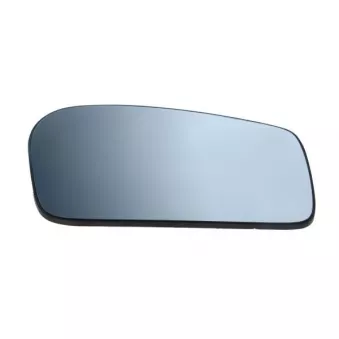 Verre de rétroviseur, rétroviseur extérieur BLIC 6102-02-1232357P