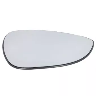 Verre de rétroviseur, rétroviseur extérieur BLIC 6102-02-1232392P