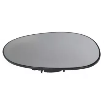 Verre de rétroviseur, rétroviseur extérieur BLIC 6102-02-1232919P