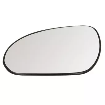 Verre de rétroviseur, rétroviseur extérieur BLIC 6102-02-1291123P